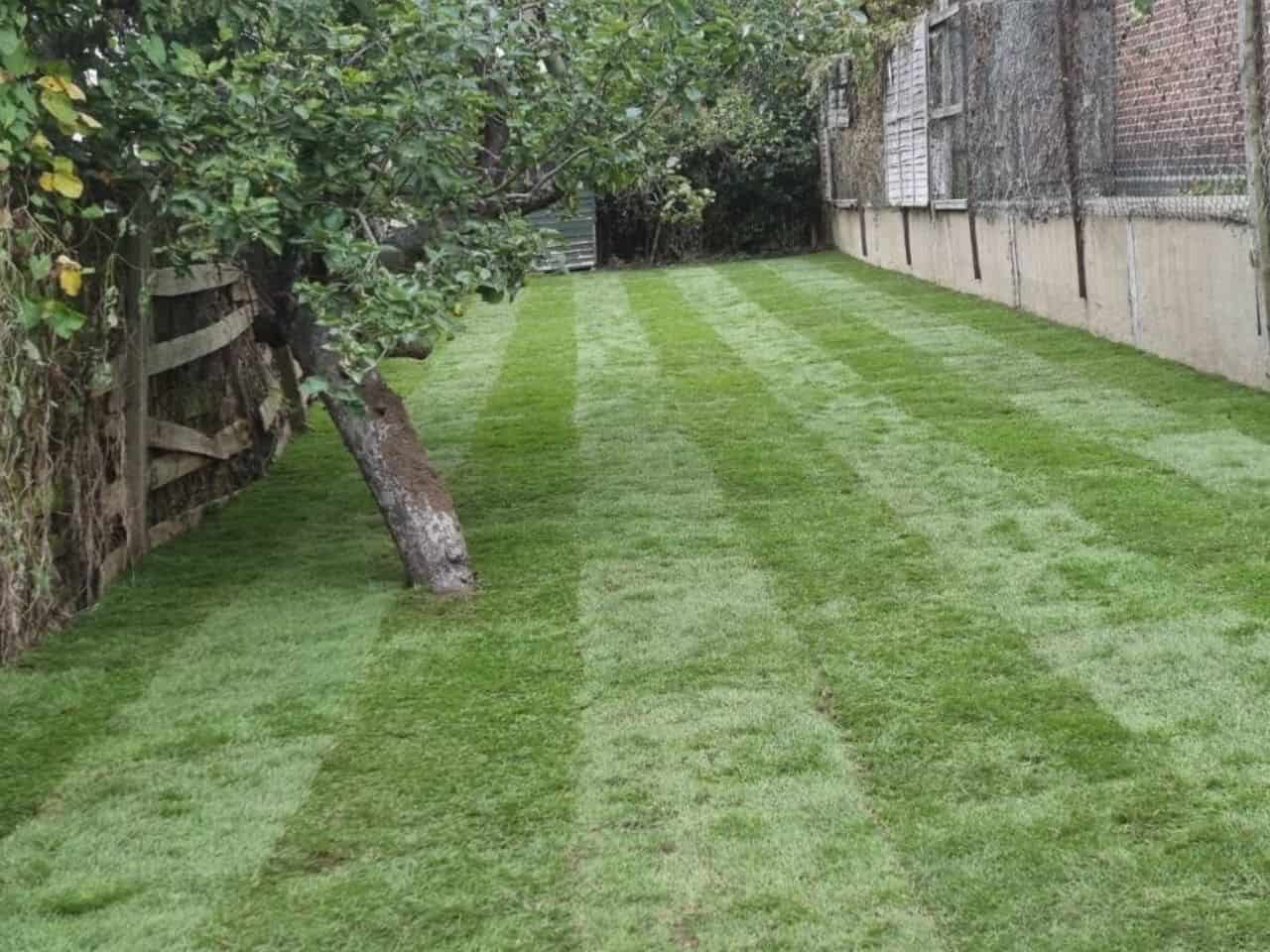 Landscaping project 2 in Manchester by Go Local Building Ltd
